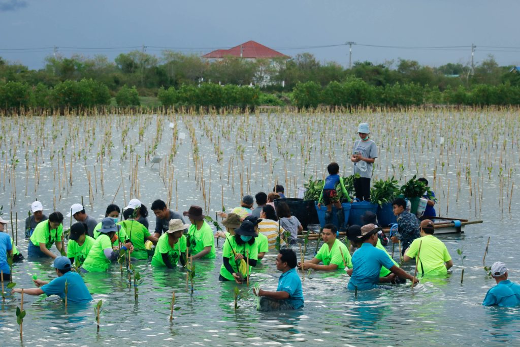 MG_0188-1024×683