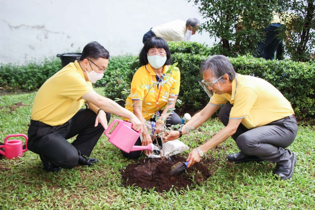 KMUTT planting for honored in Mother day