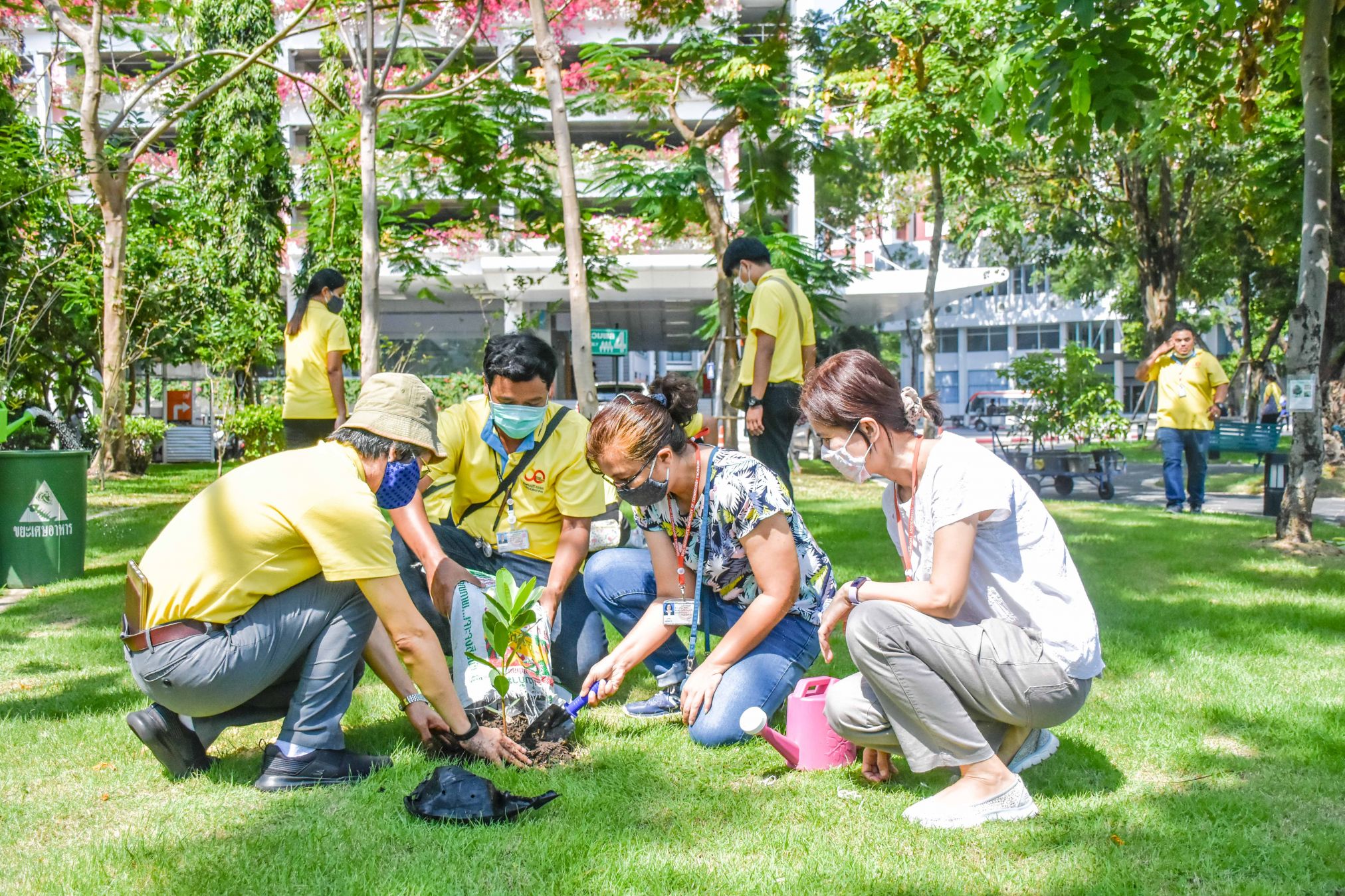 National tree day at KMUTT