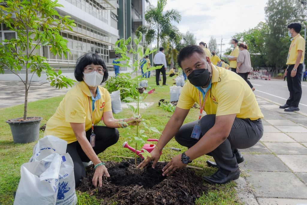 KMUTT organizes volunteer activities to do good deeds as a royal charity On…