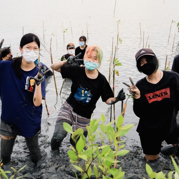 King Mongkut’s University of Technology Thonburi (KMUTT) Organizes Mangrove Planting Event in Honor of Her Majesty the Queen