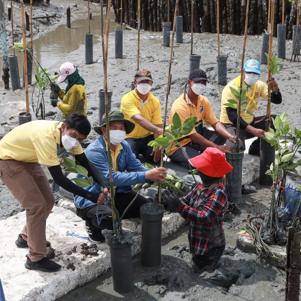 Volunteers ‘Doing Good with Heart’ in Celebration of National Mother’s Day