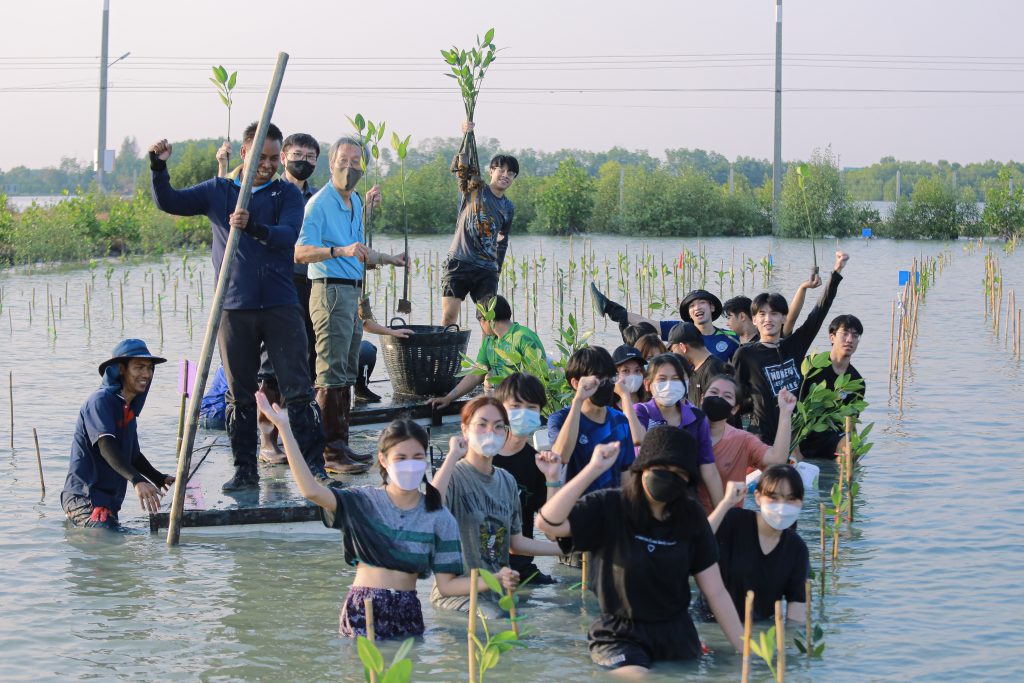 MANGROVE FOREST PLANTING: February 22, Planting Mangroves with Love