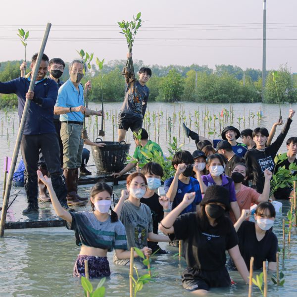 MANGROVE FOREST PLANTING: February 22, Planting Mangroves with Love