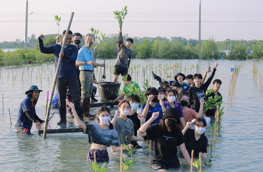MANGROVE FOREST PLANTING: February 22, Planting Mangroves with Love