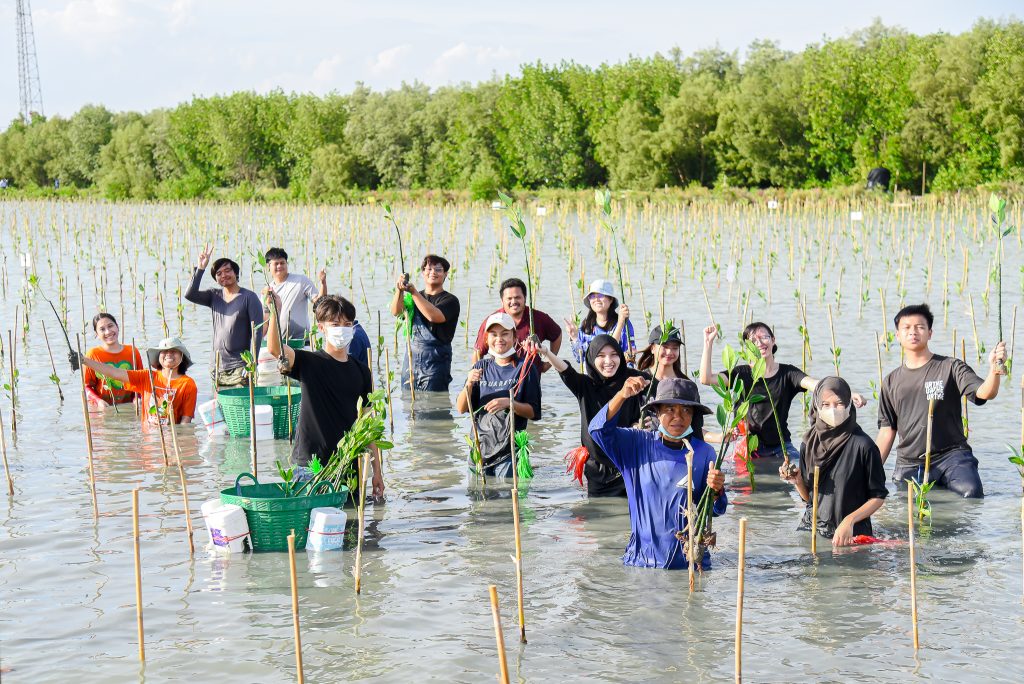 Mangrove Forest Planting for June 2023