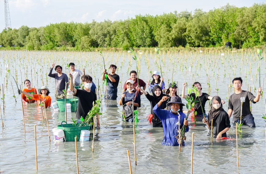 Mangrove Forest Planting for June 2023