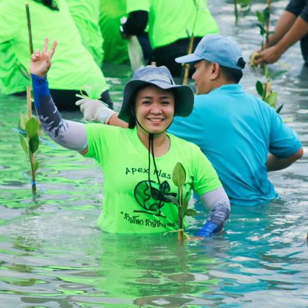 KMUTT Collaborates with Bangkok Metropolitan Region 2 Department of Labor Protection and Welfare to Plant Mangrove Forest