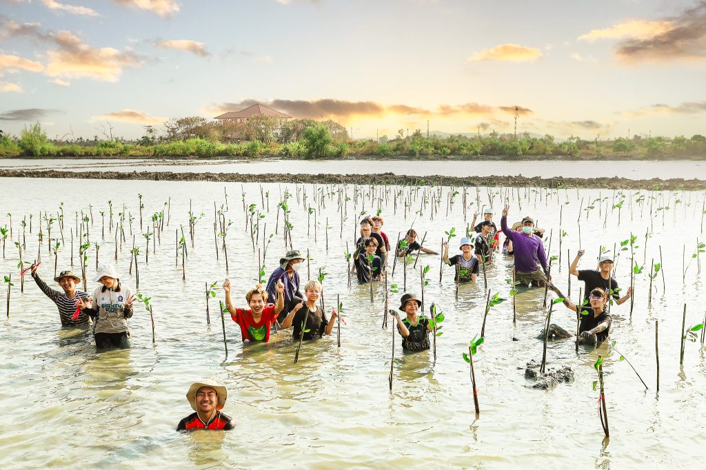 Mangrove Forest Planting for February 2024