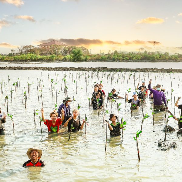 Mangrove Forest Planting for February 2024