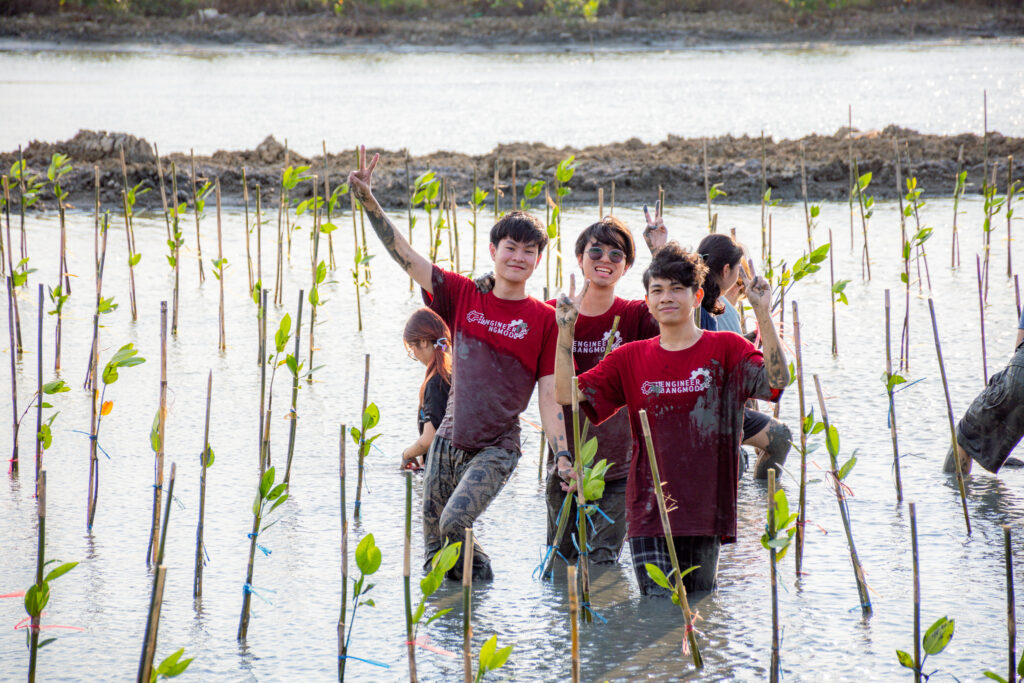 Mangrove Forest Planting in April 2567