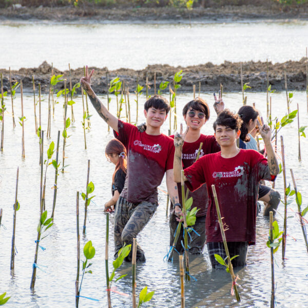 Mangrove Forest Planting in April 2567