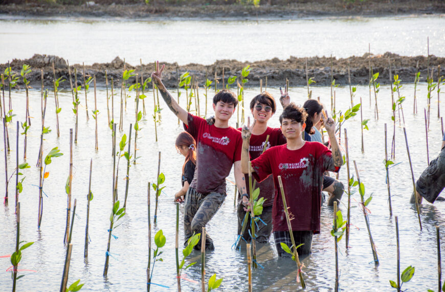 Mangrove Forest Planting in April 2567