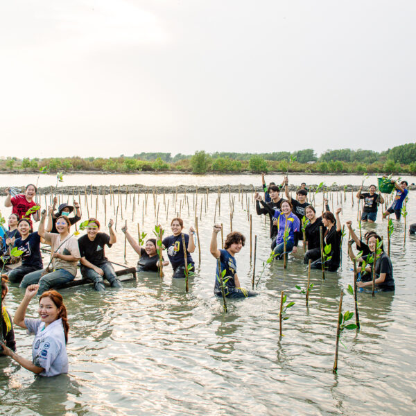 Mangrove Forest Planting in March 2024