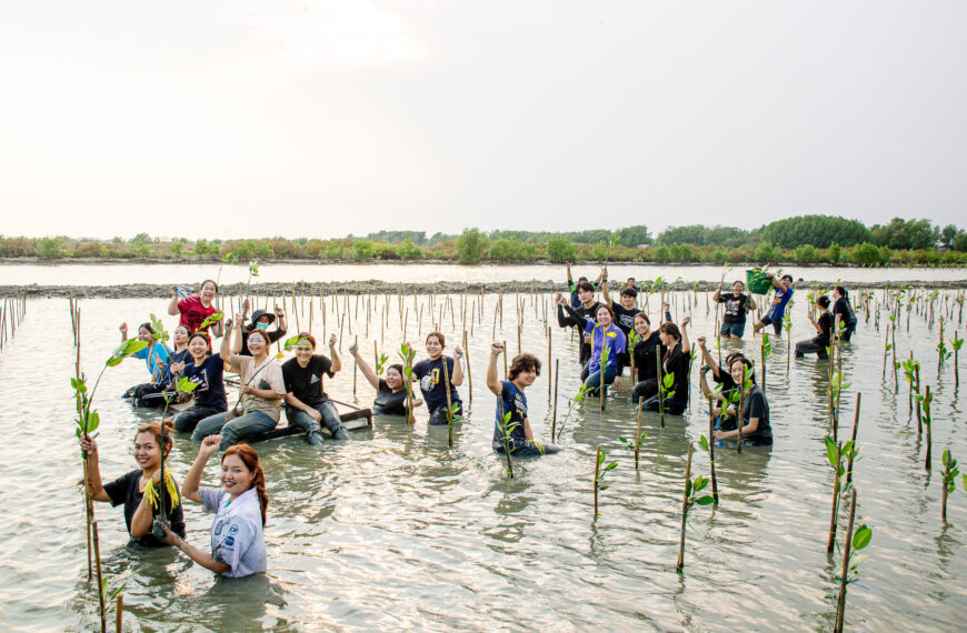 Mangrove Forest Planting in March 2024