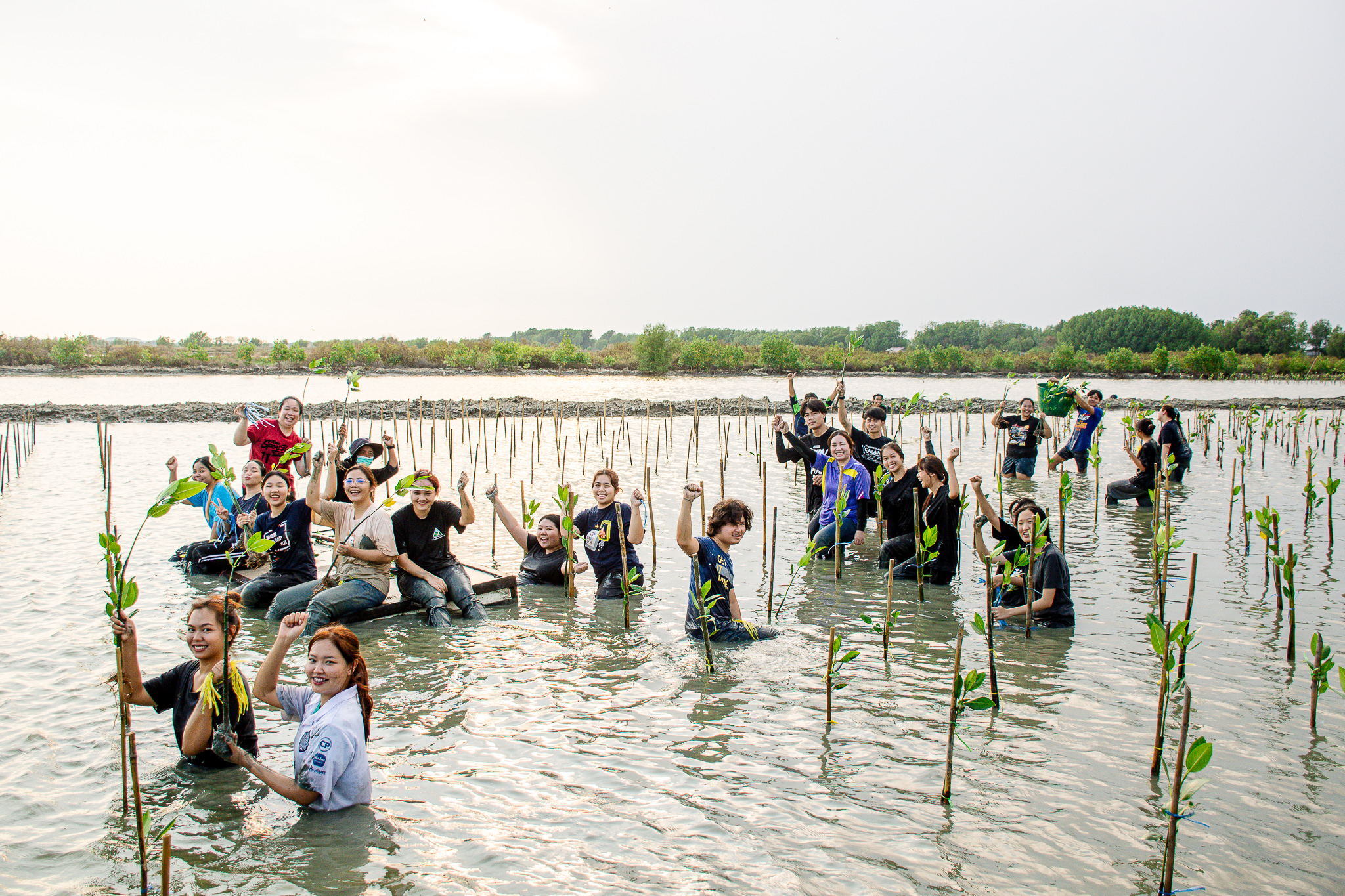 Mangrove Forest Planting in March 2024