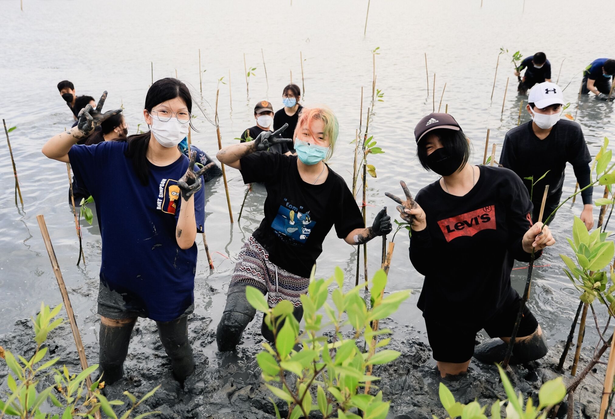 Tree planting event