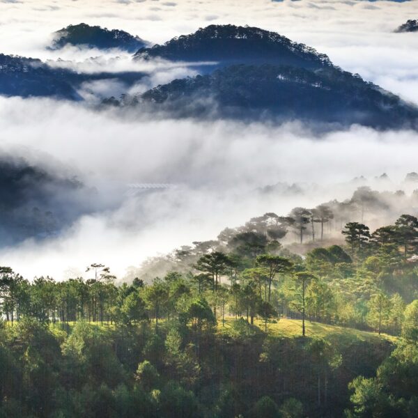 The Rise of Eco-Tourism: Balancing Conservation and Local Livelihoods