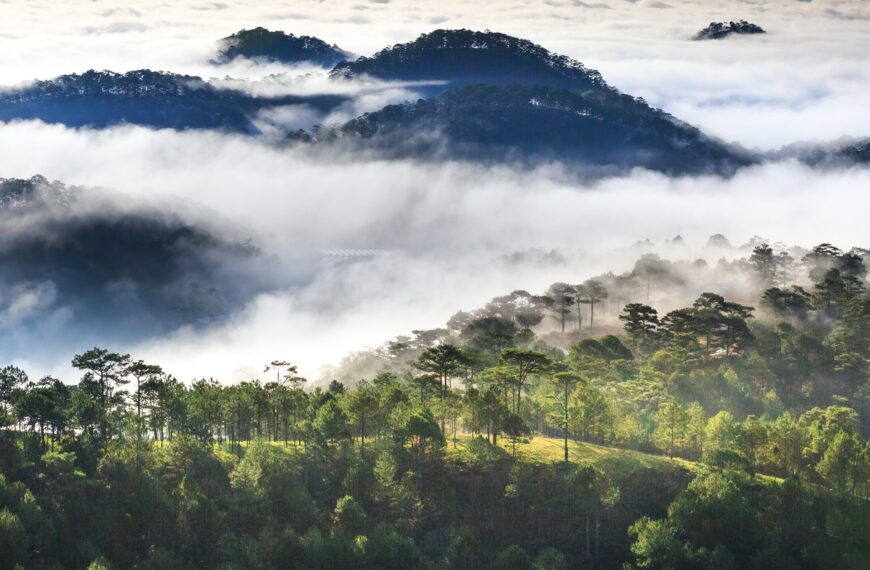 The Rise of Eco-Tourism: Balancing Conservation and Local Livelihoods