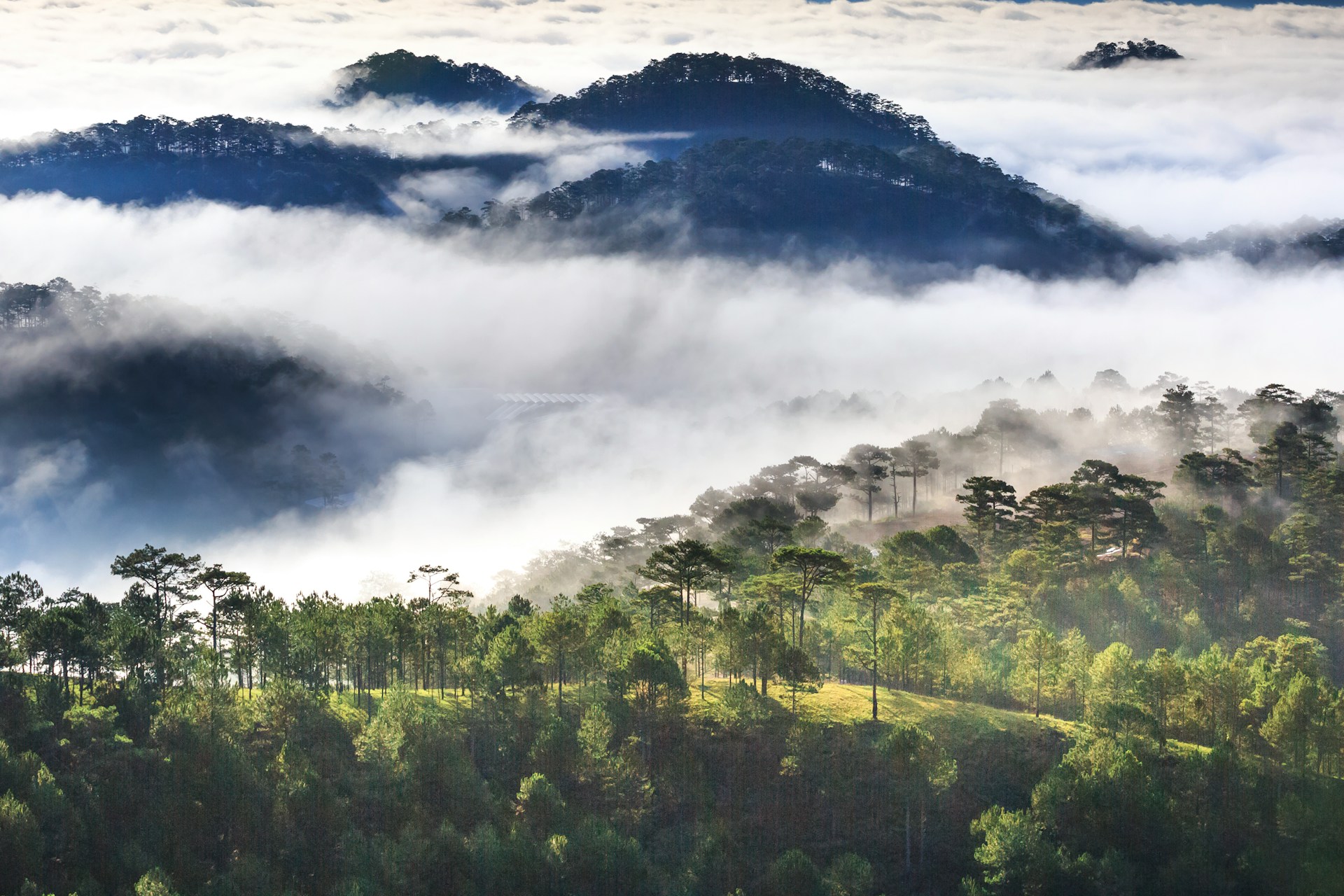 The Rise of Eco-Tourism: Balancing Conservation and Local Livelihoods