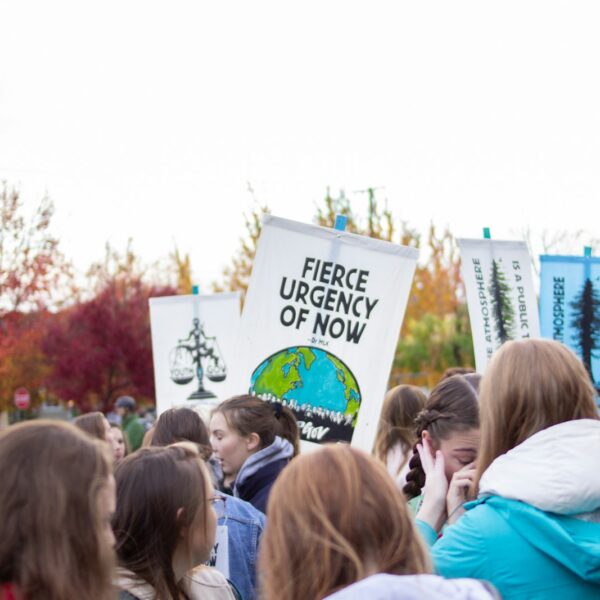 group of people holding signages under white sky