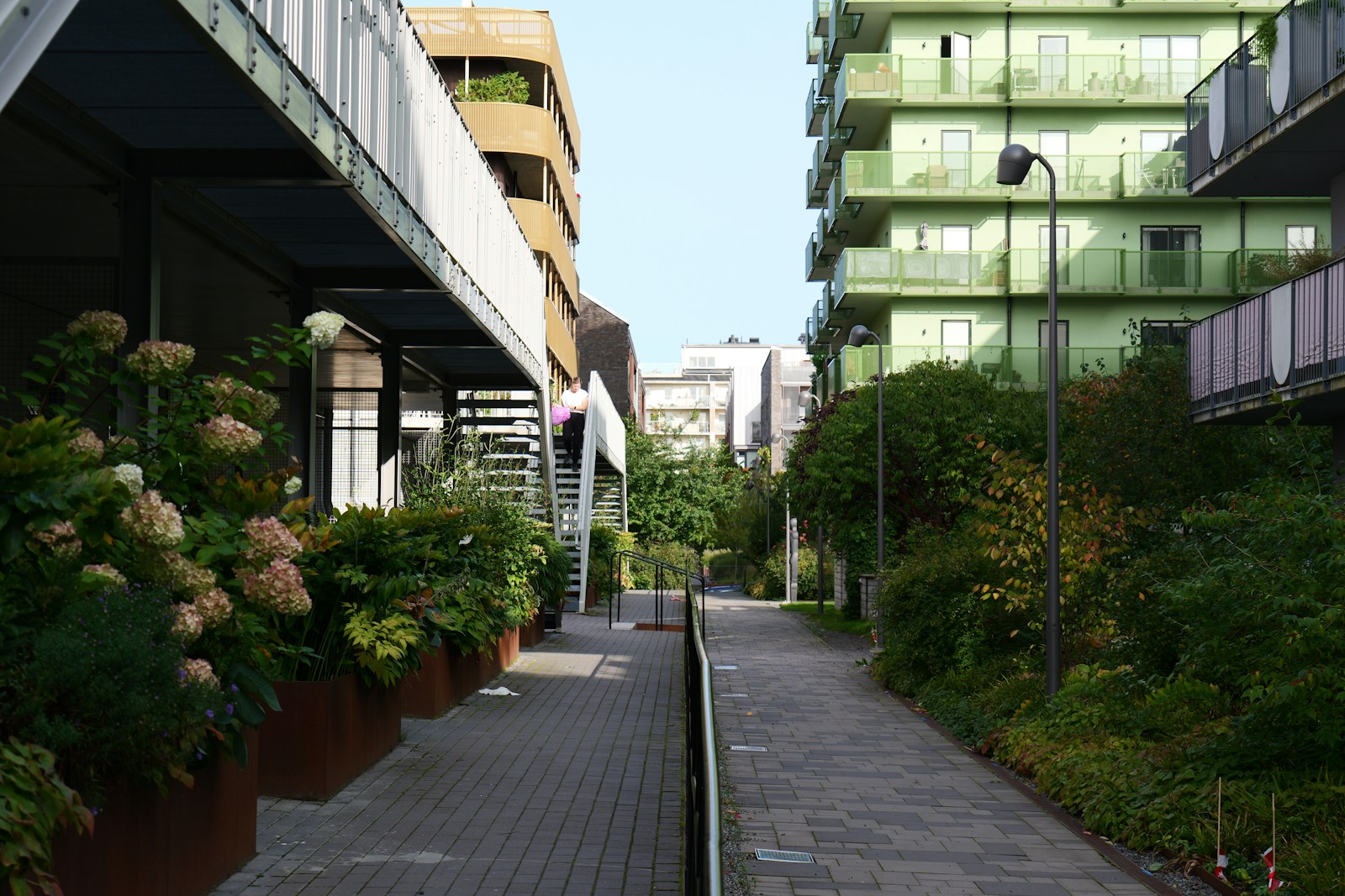 a walkway between two buildings with flowers in the foreground